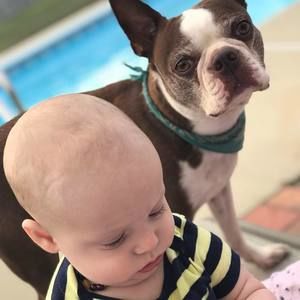 Meet your Posher, Dominique